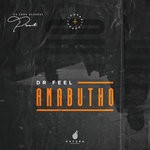 cover: Dr Feel - Amabutho