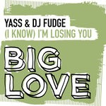 cover: DJ Fudge|YASS - (I Know) I'm Losing You (Extended Mix)