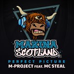 cover: Mc Steal - Perfect Picture