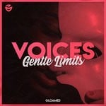 cover: Gentle Limits - Voices