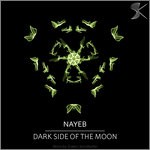 cover: Nayeb - Dark Side Of The Moon