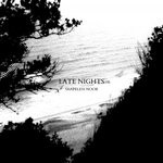 cover: Shapeless Noob - Late Nights