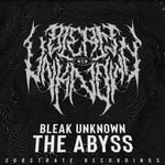 cover: Bleak Unknown - The Abyss