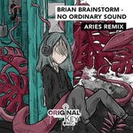 cover: Brian Brainstorm - No Ordinary Sound (Aries Remix)