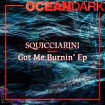 cover: Squicciarini - Got Me Burnin' EP