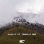 cover: Brooklyn Shanti - Thunder In The Mist