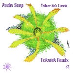 cover: Pasha Soup - Yellow Sub Taurin