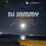 cover: Dj Sammy - L'bby Haba