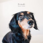 cover: Kanae Asaba - Fendi