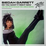 cover: Siedah Garrett - Do You Want It Right Now (Jolyon Petch's Elektrik Disko Remix)