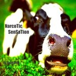 cover: Dj Castdell - Narcotic Sensation