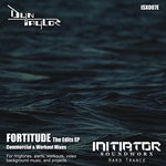 cover: Dyn Taylor - Fortitude Edits EP