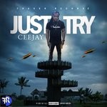 cover: Ceejay - Just Try