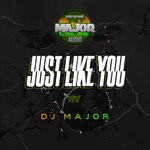 cover: Dj Major - Just Like You