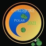 cover: Dtrdjjoxe - Polar 2021