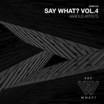 cover: Various - Say What? Vol 4