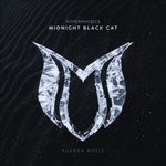 cover: Hyperphysics - Midnight Black Cat