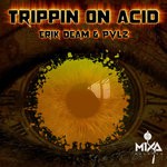 cover: Erik Deam - Trippin On Acid