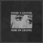 cover: Sanyok|Sterk - Now Im Crying