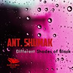 cover: Ant. Shumak - Different Shades Of Black (Original Mix)