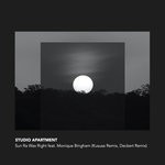 cover: Monique Bingham - Sun Ra Was Right Remixes