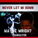 cover: Wayne Wright - Never Let Mi Down