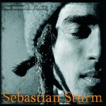 cover: Sebastian Sturm|The Jinjin Band - One Moment In Peace