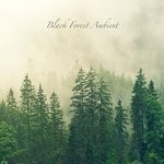 cover: Black Forest Ambient - Black Forest Ambient