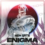 cover: Various - Enigma : New Gate