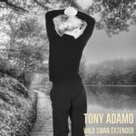 cover: Tony Adamo - Wild Swan (Extended)