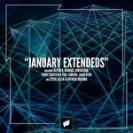 cover: Various - Flashover Recordings - January Extendeds