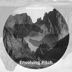 cover: Eraseland - Envolving Pitch