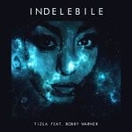 cover: Bobby Warner - Indelebile (Main Mix)