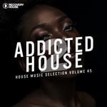 cover: Various - Addicted 2 House Vol 45