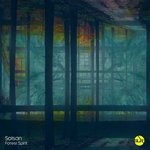 cover: Solsan - Forest Spirit