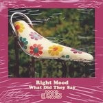 cover: Right Mood - What Did They Say