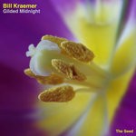 cover: Bill Kraemer - Gilded Midnight