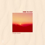 cover: Velar Prana - Here To Stay