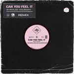 cover: Shiralee Coleman - Can You Feel It (Daniel Tonik Remix)