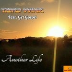 cover: Get Gospel - Another Life