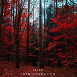 cover: Elixr - Transformation