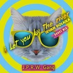 cover: J.p.r.w. Gang - I Let You By The River (Ievan Polkka) (Dance Mix)