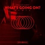 cover: Don Alex Albert - What's Going On? (Remix)