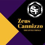 cover: Zeus Cannizzo - The Little Things