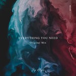 cover: Jay Aliyev - Everything You Need (Original Mix)