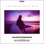 cover: Various - Collective Remixes 01