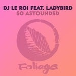 cover: Ladybird - So Astounded