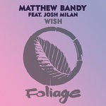 cover: Josh Milan - Wish