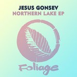 cover: Jesus Gonsev - Northern Lake