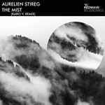 cover: Aurelien Stireg - The Mist